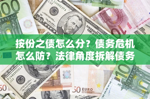 武汉按份之债怎么分？债务危机怎么防？法律角度拆解债务分配与风险自保指南