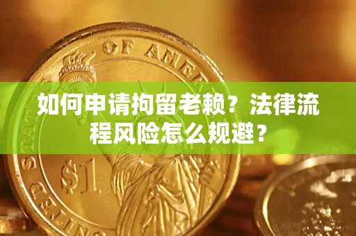 武汉如何申请拘留老赖？法律流程风险怎么规避？