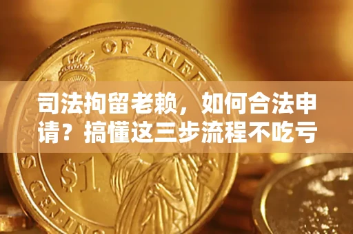 武汉司法拘留老赖，如何合法申请？搞懂这三步流程不吃亏！