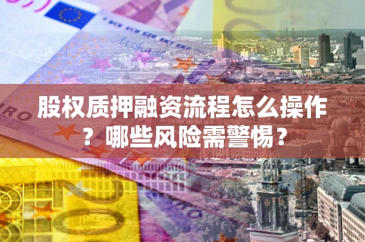 武汉股权质押融资流程怎么操作？哪些风险需警惕？
