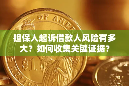 武汉担保人起诉借款人风险有多大？如何收集关键证据？