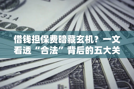 武汉借钱担保费暗藏玄机？一文看透“合法”背后的五大关键陷阱