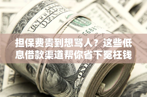 武汉担保费贵到想骂人？这些低息借款渠道帮你省下冤枉钱