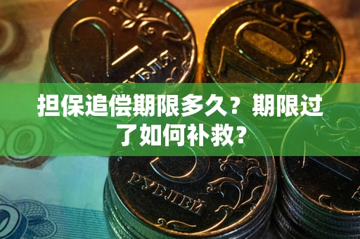 武汉担保追偿期限多久？期限过了如何补救？