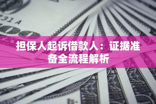武汉担保人起诉借款人：证据准备全流程解析