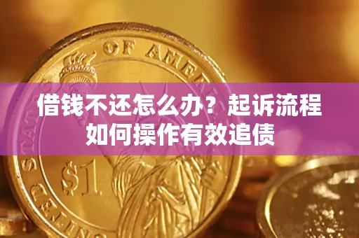 武汉借钱不还怎么办？起诉流程如何操作有效追债