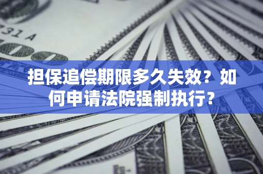 武汉担保追偿期限多久失效？如何申请法院强制执行？