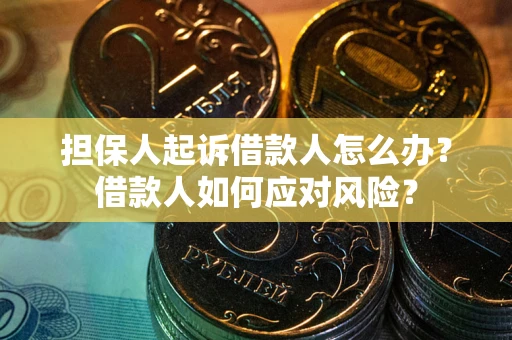 武汉担保人起诉借款人怎么办？借款人如何应对风险？