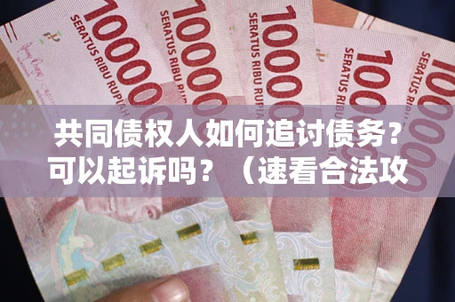 武汉共同债权人如何追讨债务？可以起诉吗？（速看合法攻略）
