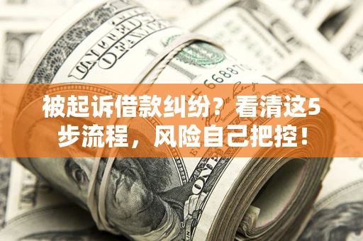 武汉被起诉借款纠纷？看清这5步流程，风险自己把控！