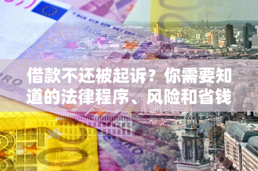 武汉借款不还被起诉？你需要知道的法律程序、风险和省钱技巧