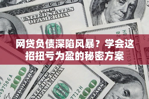 武汉网贷负债深陷风暴？学会这招扭亏为盈的秘密方案